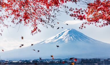 SAKURA ZAMANI JAPONYA TURU