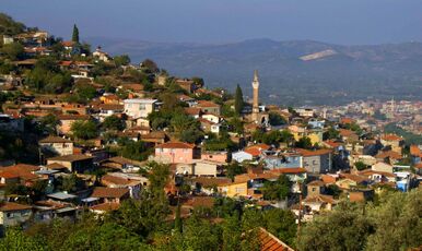 KARABURUN NERGİS FESTİVALİ 