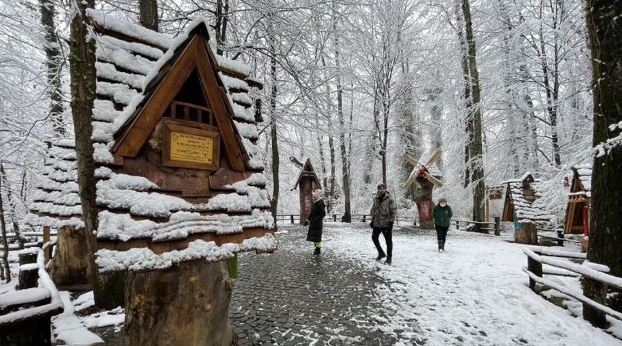 BOLU-ABANT-KARTEPE-GÖLCÜK-MAŞUKİYE-ORMANYA TURU