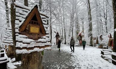 BOLU-ABANT-KARTEPE-GÖLCÜK-MAŞUKİYE-ORMANYA TURU