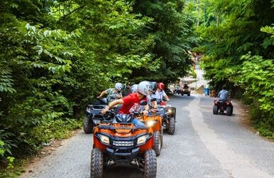 Bolu - Maşukiye - Ormanya - Yedigöller Turu